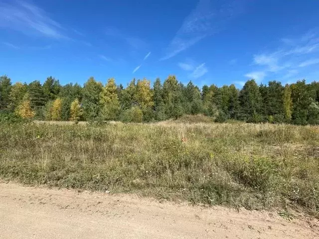 Участок в Новгородская область, Валдайский район, Едровское с/пос, с. ... - Фото 1