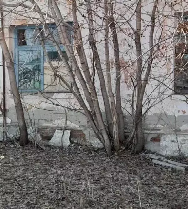 Помещение свободного назначения в Курганская область, Катайский ... - Фото 1