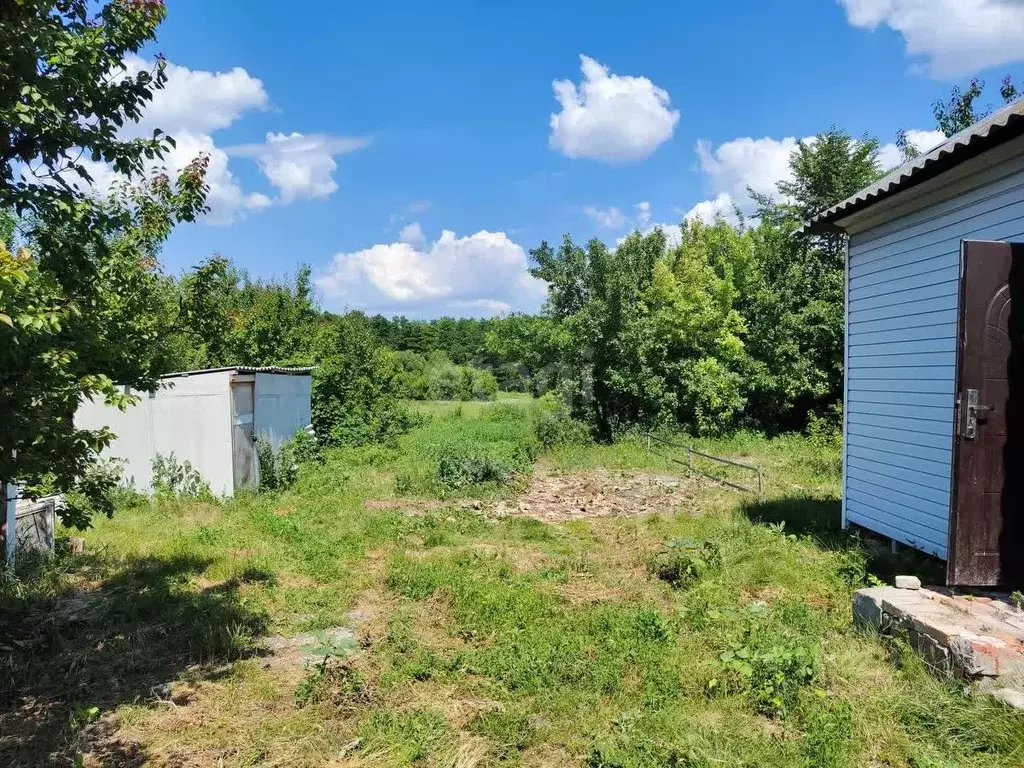 Дом в Белгородская область, Красногвардейский район, Засосенское ... - Фото 0