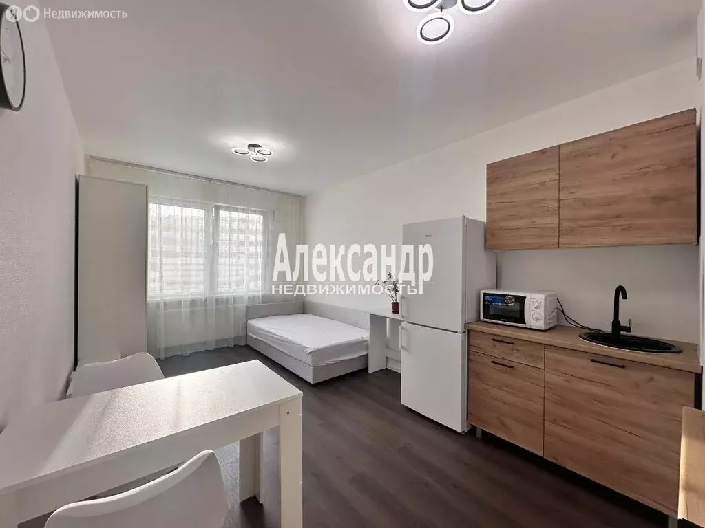 Квартира-студия: Санкт-Петербург, Пейзажная улица, 24к2 (20.2 м) - Фото 0