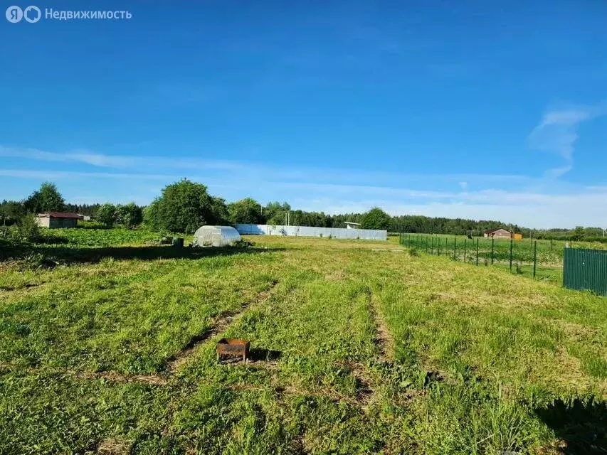 Участок в Волосовский район, Калитинское сельское поселение, деревня ... - Фото 2