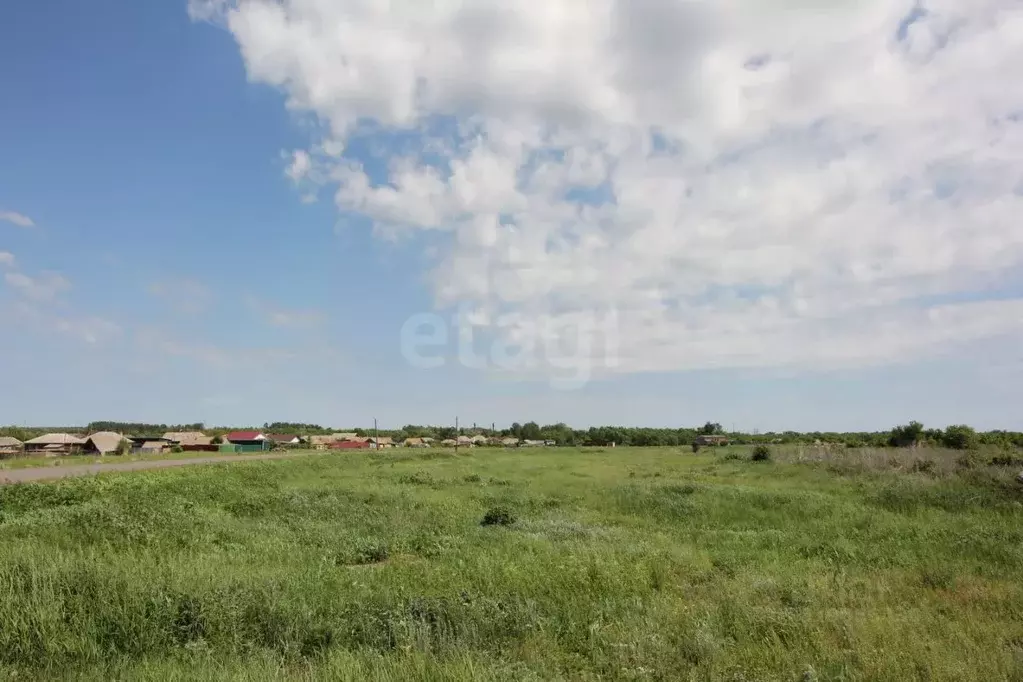Участок в Саратовская область, Балашовский район, Большемеликское ... - Фото 0