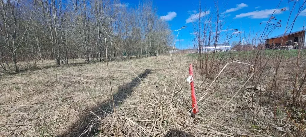 Участок в Ленинградская область, Гатчинский муниципальный округ, ... - Фото 1