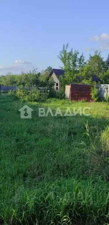 Участок в Новосибирская область, Новосибирск Восход Пашинский ТСН, ул. ... - Фото 0