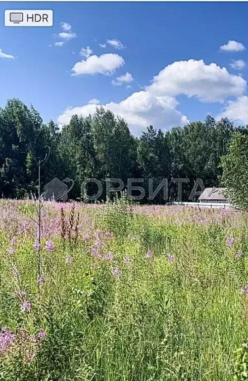 Участок в Тюменская область, Тюменский район, д. Молчанова  (36.58 ... - Фото 0