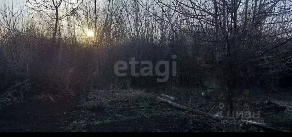 Участок в Татарстан, Альметьевск Буровик-1 СТ, 90 (6.12 сот.) - Фото 1