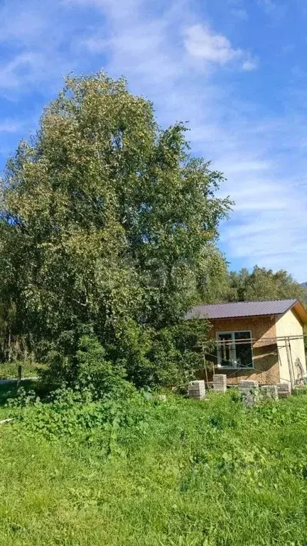 Дом в Алтай, Майминский район Р-256 Чуйский тракт, 488-й км (32 м) - Фото 1