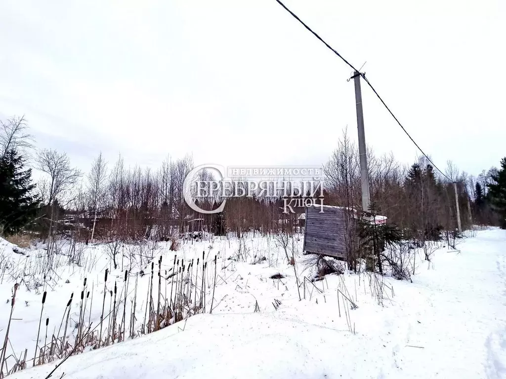Участок в Ленинградская область, Сосновый Бор Клен СНТ, ул. Красивая, ... - Фото 1
