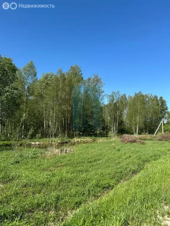 Участок в Московская область, муниципальный округ Чехов, деревня ... - Фото 2