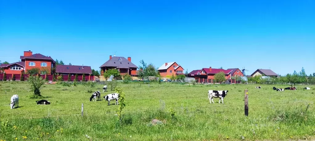 Участок в Московская область, Лосино-Петровский городской округ, д. ... - Фото 2