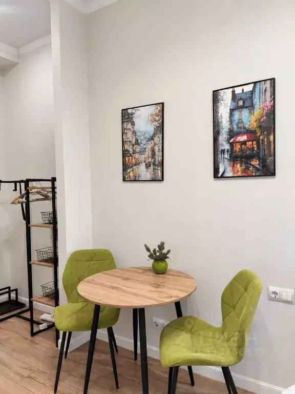 Студия Санкт-Петербург наб. Реки Фонтанки, 38 (17.3 м) - Фото 2