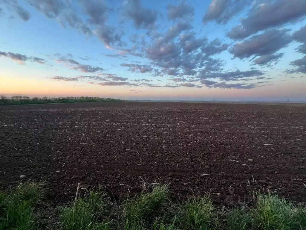 Участок в Оренбургская область, Оренбургский район, Ленинский ... - Фото 0