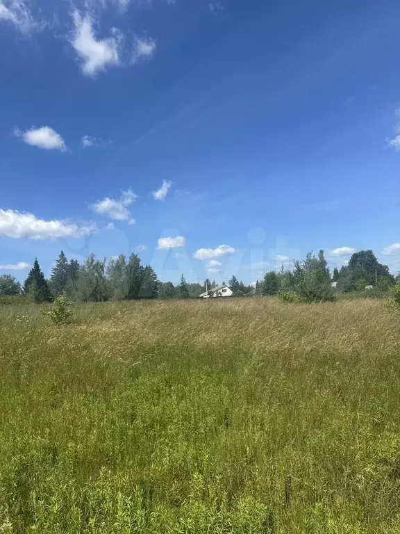 Участок 19 сот. (личное подсобное хозяйство (лпх)) - Фото 1
