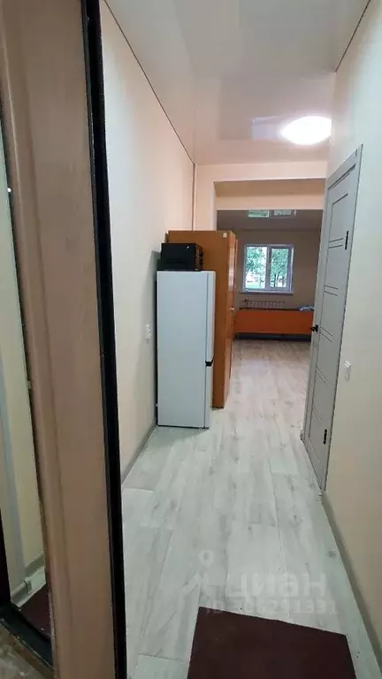 Студия Алтайский край, Барнаул ул. Юрина, 174 (24.0 м) - Фото 2