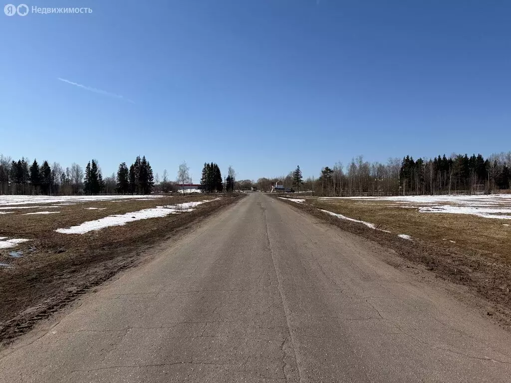 Участок в Владимирская область, Александровский муниципальный округ, ... - Фото 1