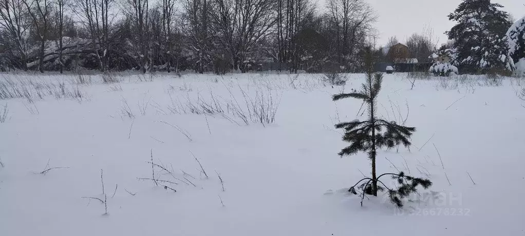 Участок в Московская область, Можайский муниципальный округ, д. ... - Фото 1