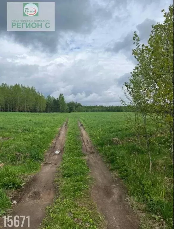 Участок в Архангельская область, Приморский муниципальный округ, Ширша ... - Фото 1
