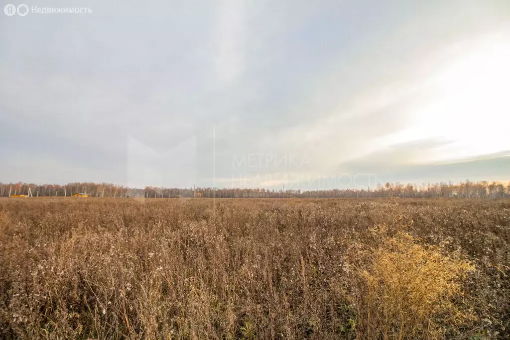 Участок в Усть-Ницинское сельское поселение (6.36 м) - Фото 2