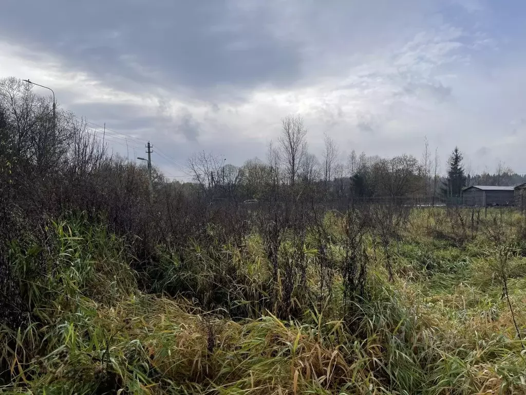 Участок в Москва Сепягино ЖСК, 1Б (9.41 сот.) - Фото 2