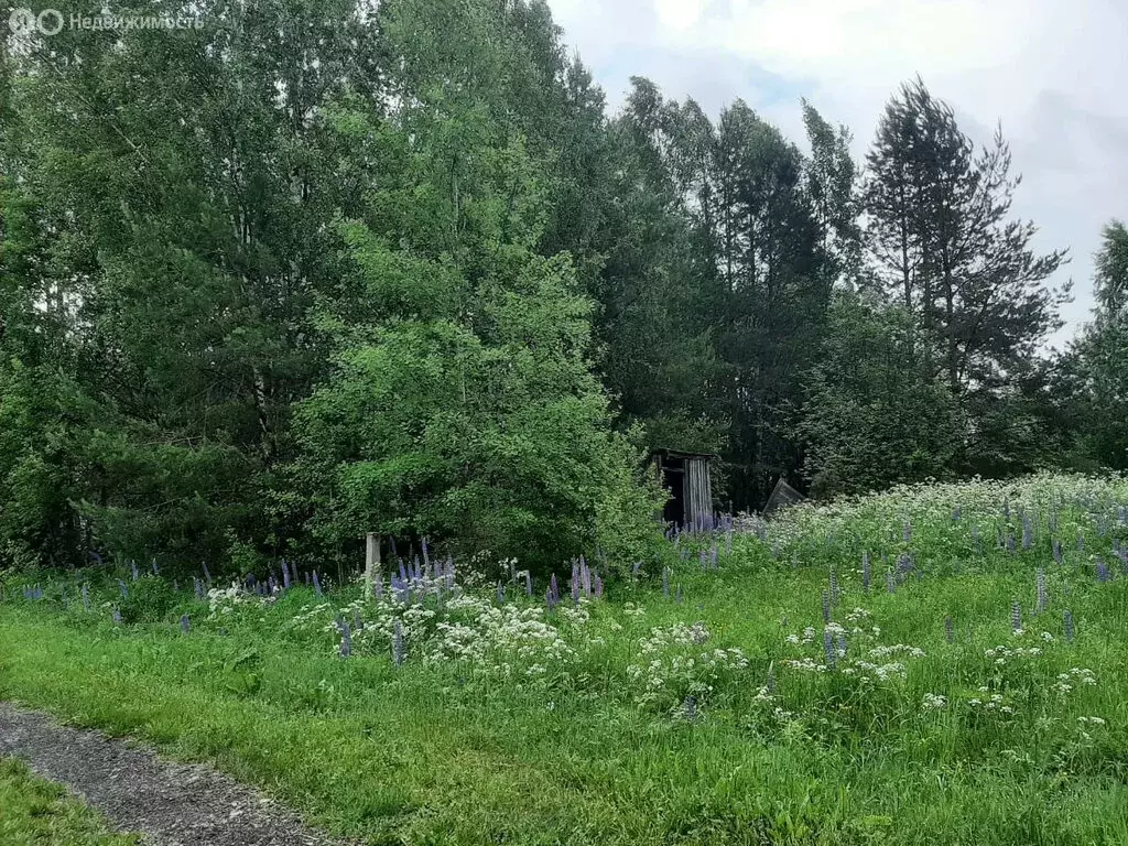Участок в Кумёнский район, Нижнеивкинское городское поселение, деревня ... - Фото 0