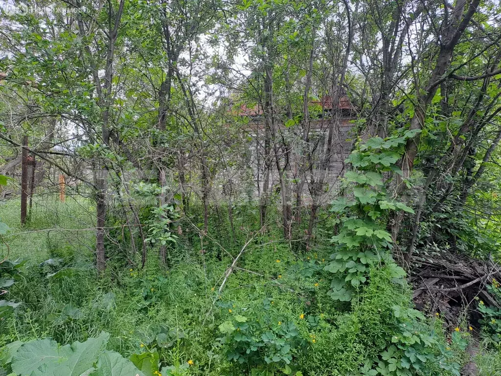 Дом в Новочеркасск, улица Нахимова, 19 (50 м) - Фото 0