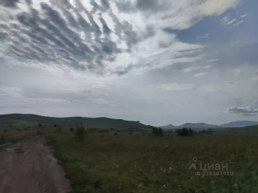 Участок в Алтай, Майминский район, с. Подгорное Центральная ул. (7.6 ... - Фото 0