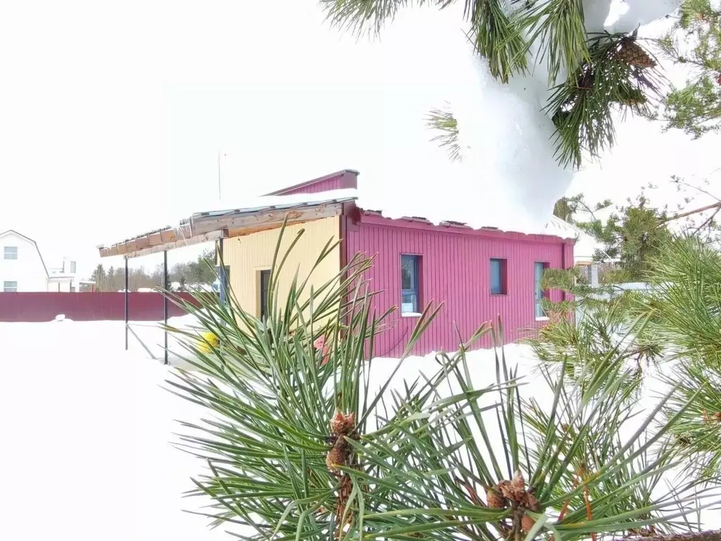 Дом в Ленинградская область, Гатчинский муниципальный округ, Красницы ... - Фото 2