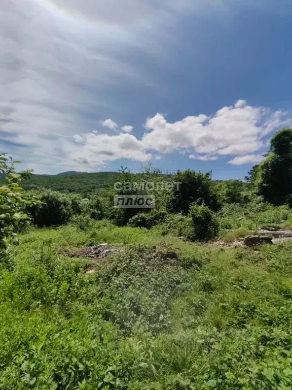 Участок в Краснодарский край, Туапсинский муниципальный округ, с. ... - Фото 1