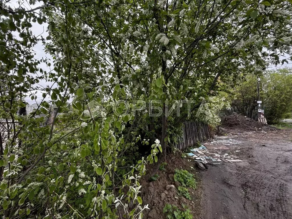Участок в Тюмень, СНТ Берёзка, 3-я Садовая улица, 2 (4.08 м) - Фото 1