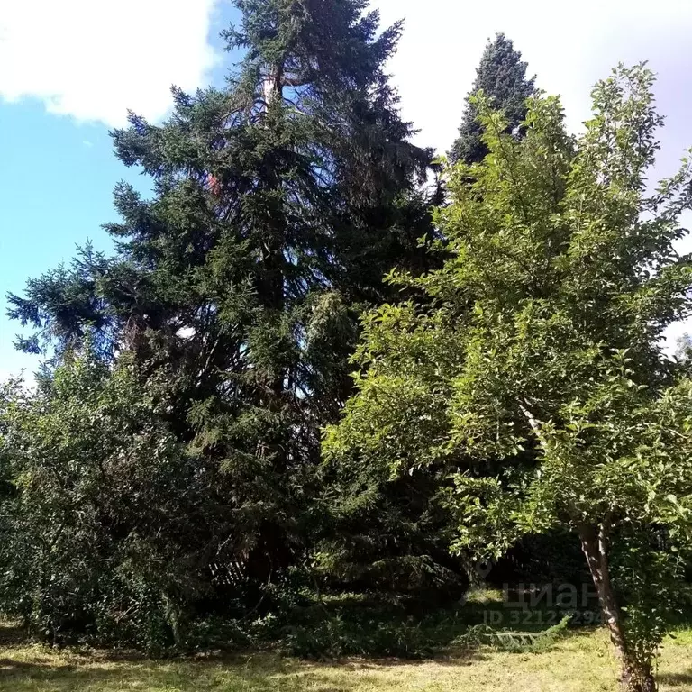 Участок в Ленинградская область, Гатчинский муниципальный округ, ... - Фото 1