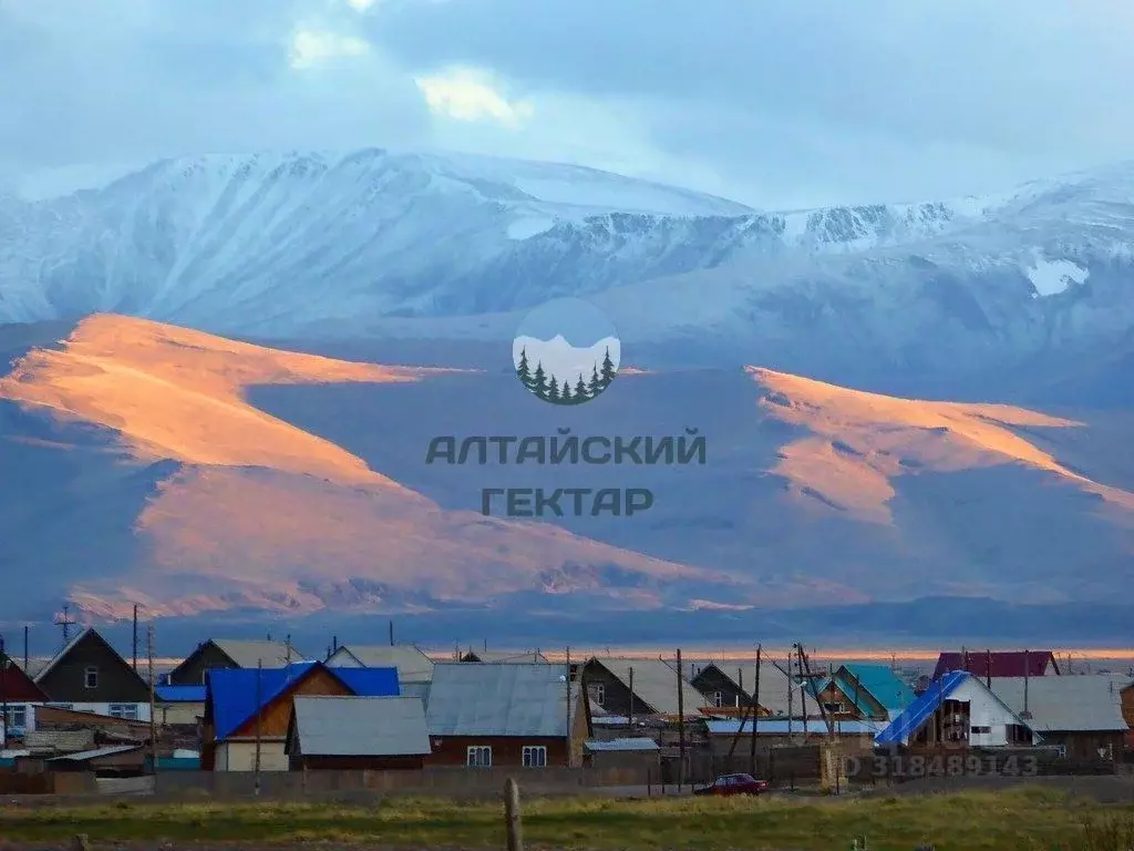 Участок в Алтай, с. Кош-Агач ул. Кабакана, 52 (10.0 сот.) - Фото 0