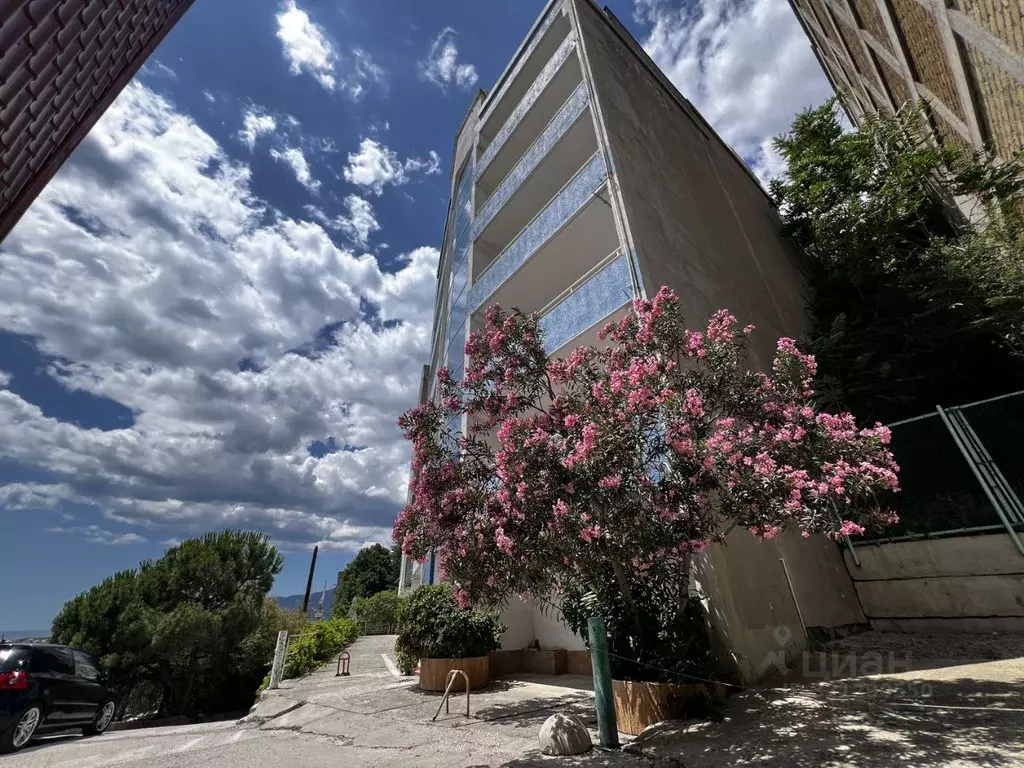 Студия Крым, Ялта муниципальный округ, Отрадное пгт ул. Отрадная, 25 ... - Фото 2