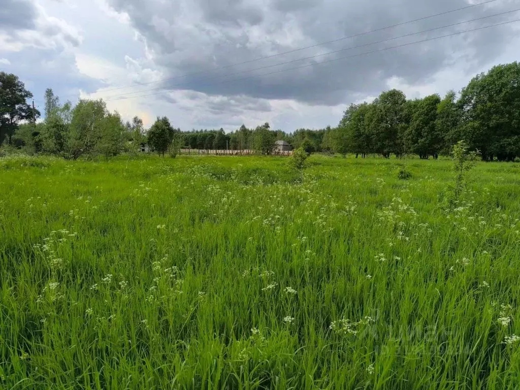 Участок в Тверская область, Калининский муниципальный округ, с. ... - Фото 1