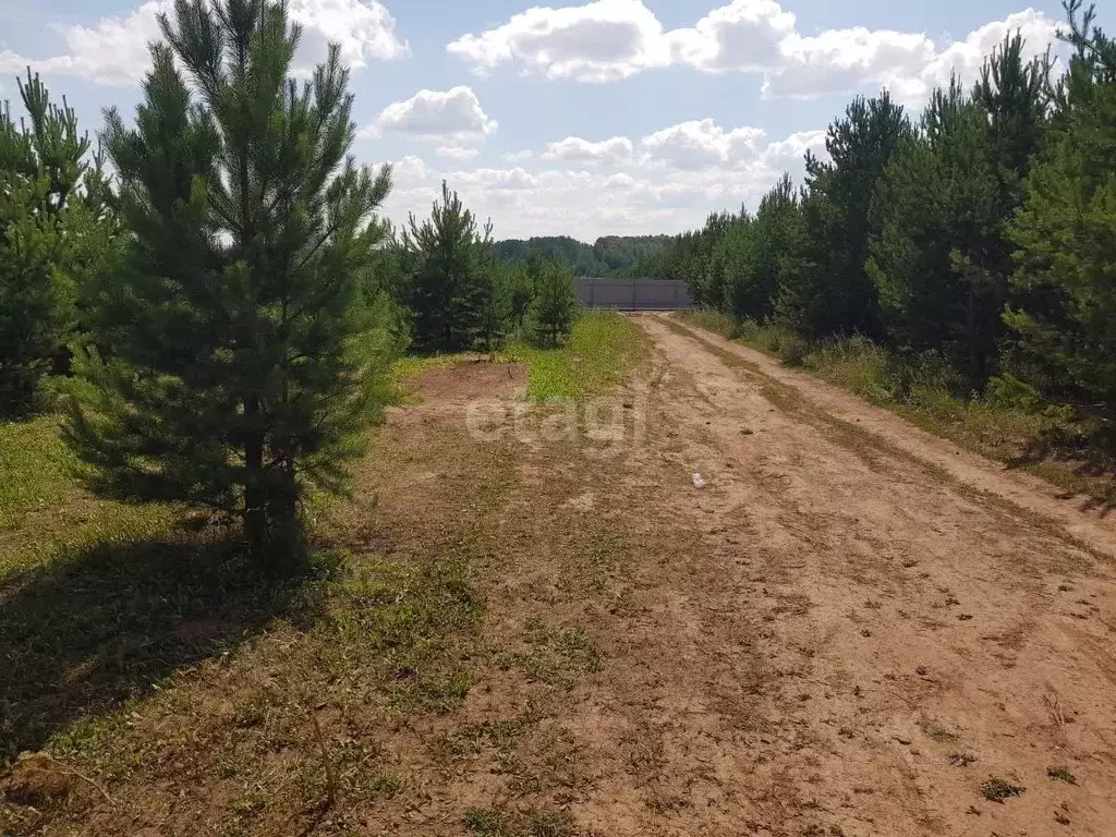 Участок в Свердловская область, Белоярский городской округ, с. ... - Фото 0