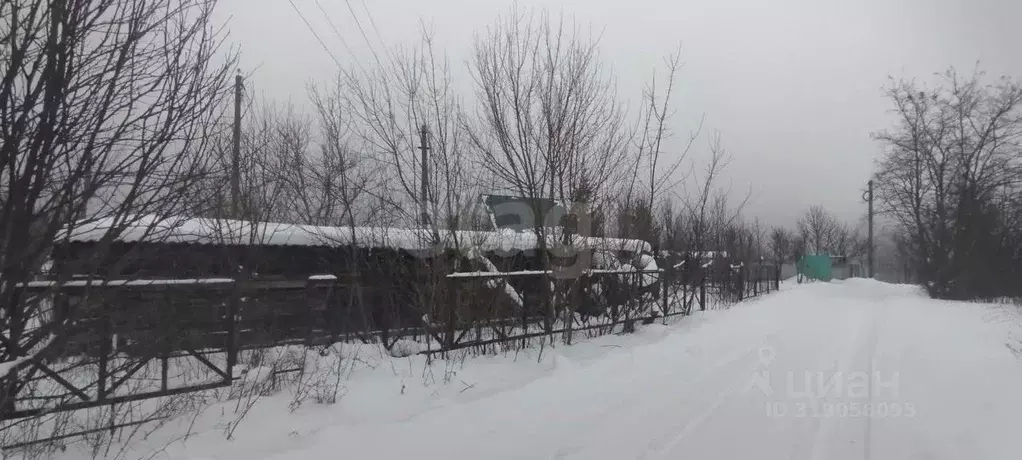 Участок в Саратовская область, Балашовский район, Хоперское ... - Фото 1