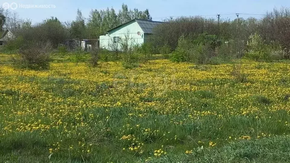 Участок в Мокшанский район, Рамзайский сельсовет, село Рамзай (19.8 м) - Фото 1