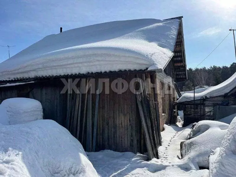 Дом в Новосибирская область, Новосибирск Иртышская ул. (55 м) - Фото 2