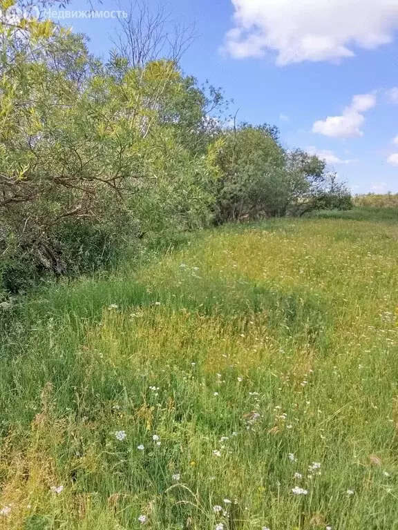 Участок в Боханский район, муниципальное образование Новая Ида, ... - Фото 1