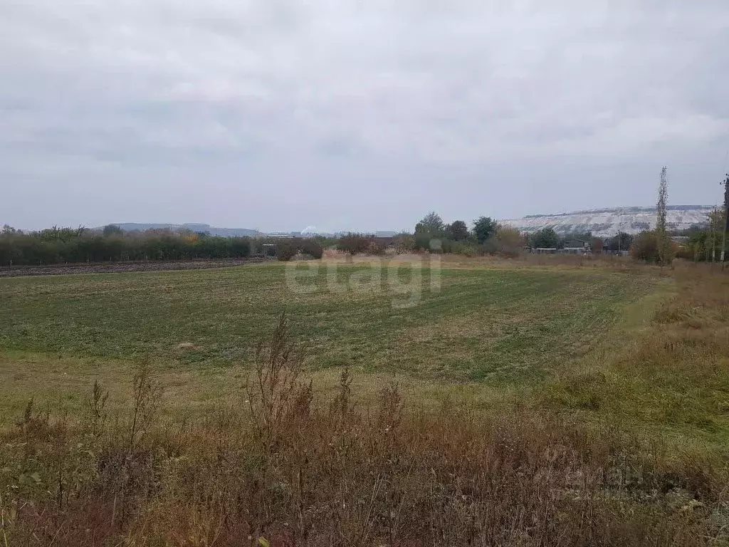 Участок в Белгородская область, Старооскольский городской округ, с. ... - Фото 2