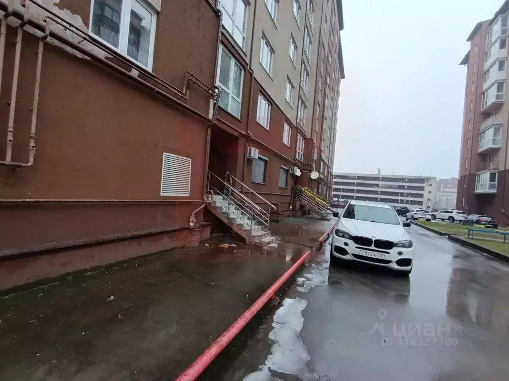 Помещение свободного назначения в Калининградская область, Калининград ... - Фото 0