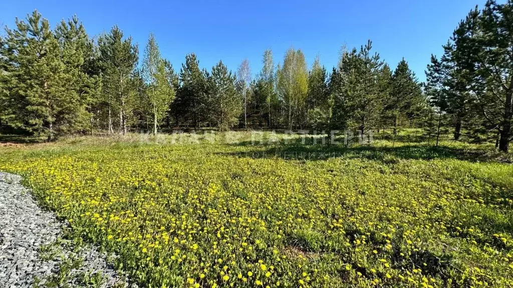 Участок в Свердловская область, Сысертский муниципальный округ, ... - Фото 2