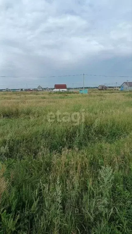 Участок в Курганская область, Кетовский муниципальный округ, Марьина ... - Фото 0