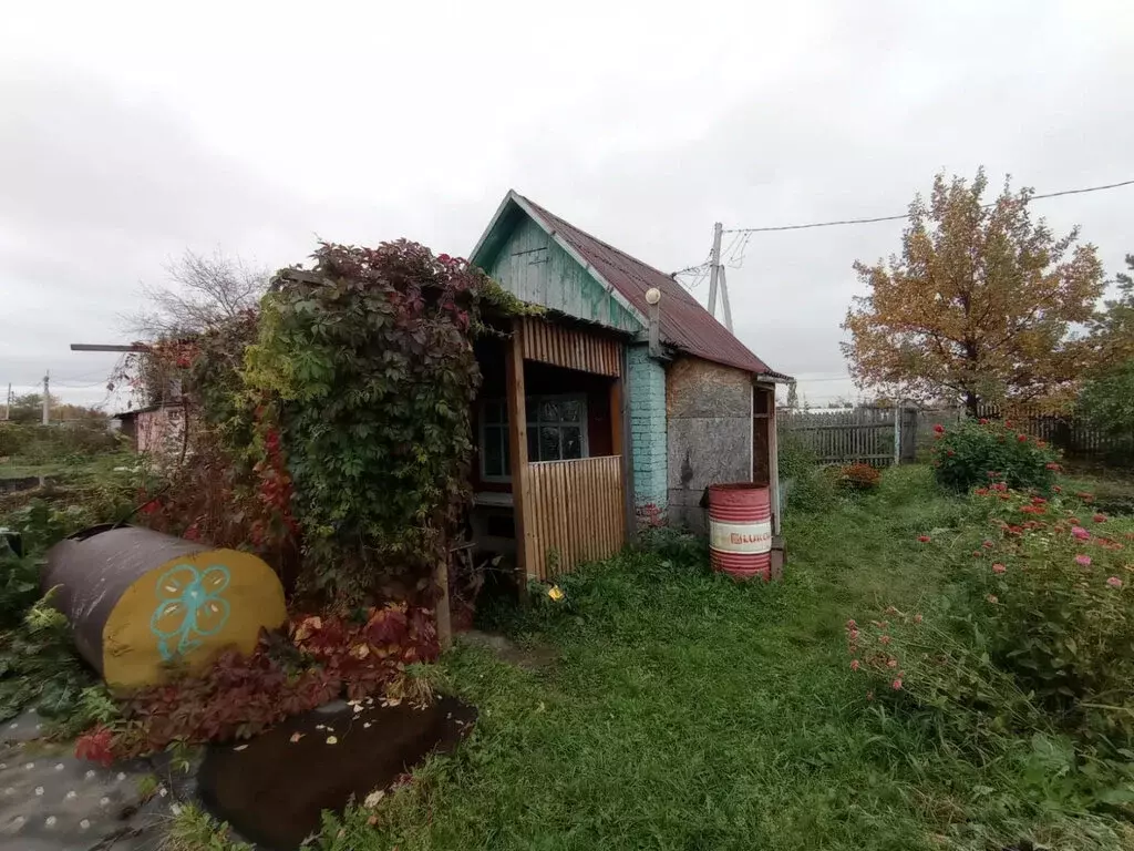 Дом в Омский район, село Лузино (14 м) - Фото 1