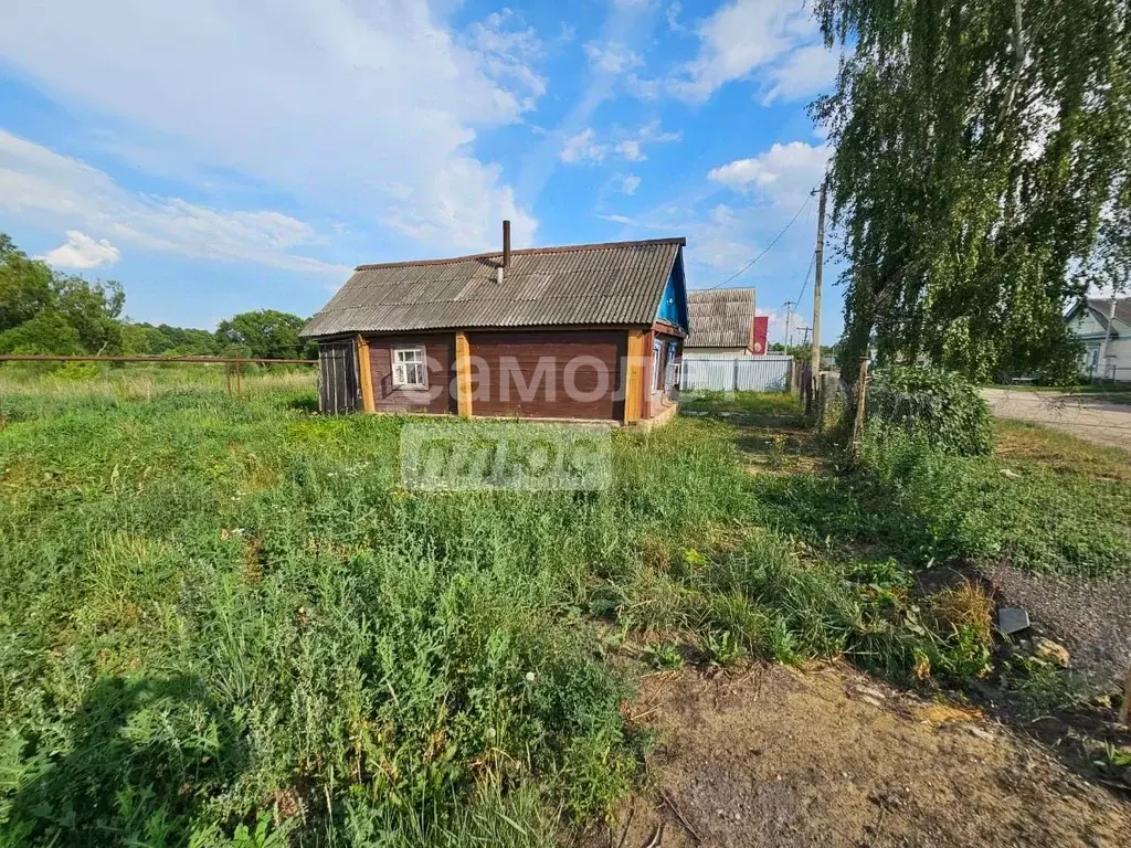 Дом в Пензенская область, Мокшан рп ул. Суворова, 28 (25 м) - Фото 0