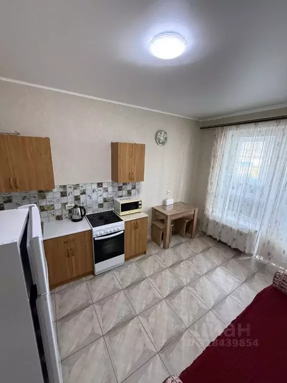 1-к кв. Краснодарский край, Новороссийск Цемдолина тер., ул. ... - Фото 2