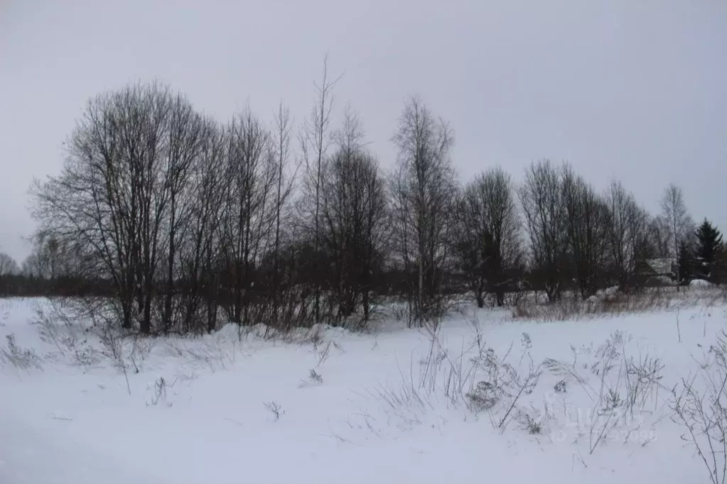 Участок в Московская область, Шаховская муниципальный округ, д. Ржищи  ... - Фото 1