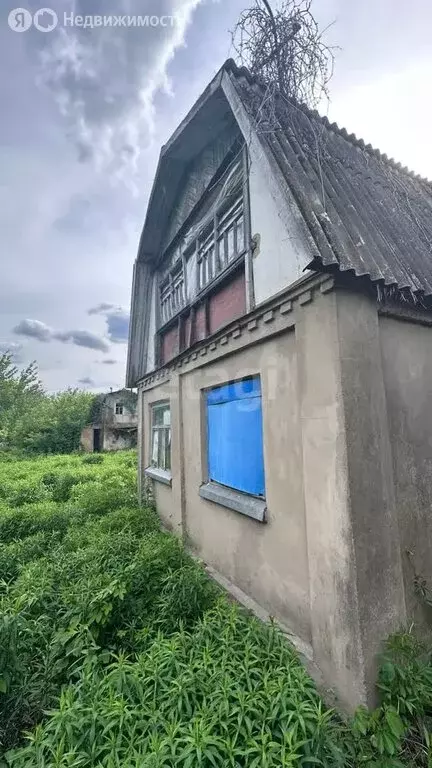 Дом в Воронеж, СНТ Садовод ВАСО (46.1 м) - Фото 1