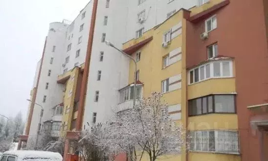 3-к кв. Белгородская область, Белгород ул. 5 Августа, 33 (86.0 м) - Фото 2