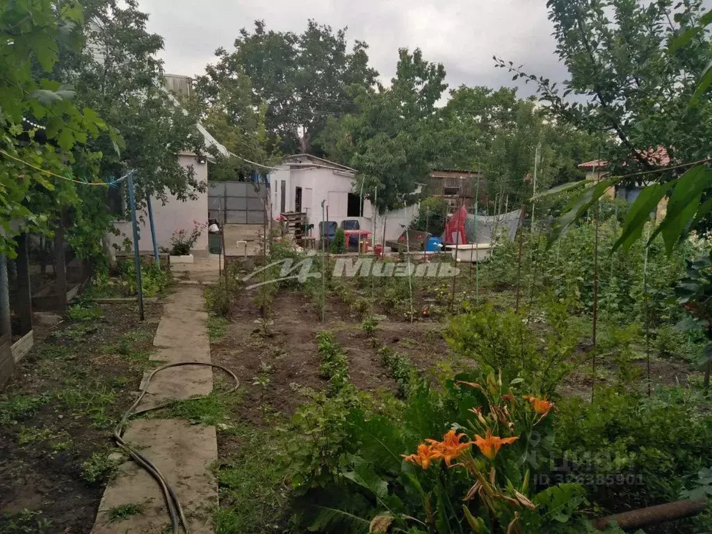 Дом в Крым, Симферопольский район 1 (120 м) - Фото 2