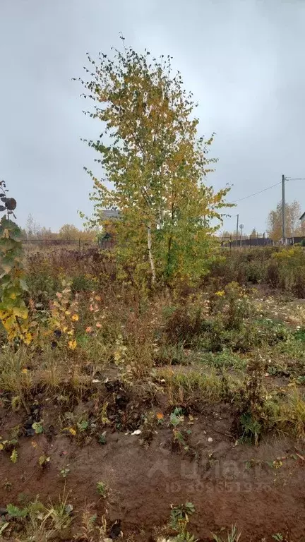 Участок в Марий Эл, Йошкар-Ола городской округ, д. Апшакбеляк  (12.5 ... - Фото 0